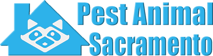 Sacramento Wildlife and Animal Removal